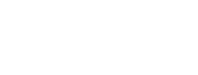 Verge AI Logo White
